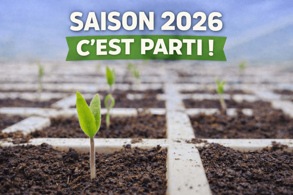 Reprise des articles&nbsp;!